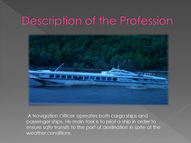 Description of the Profession        A Navigation Officer